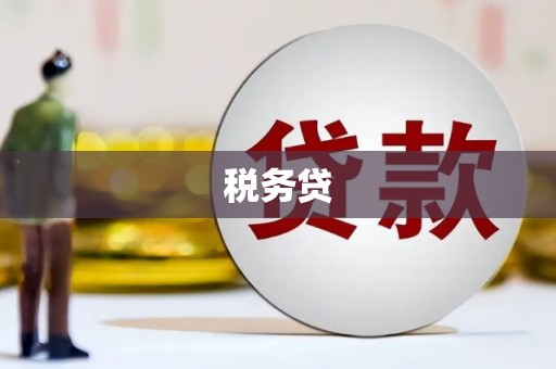 南开税务贷