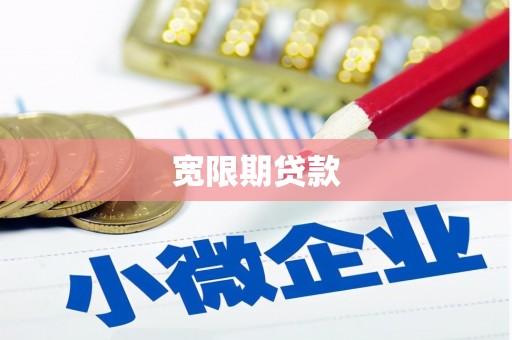 南开宽限期贷款