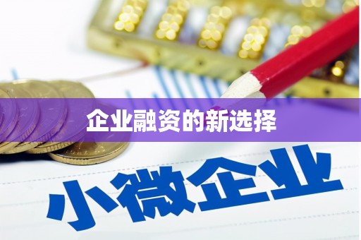 南开企业融资的新选择