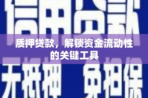 南开质押贷款，解锁资金流动性的关键工具