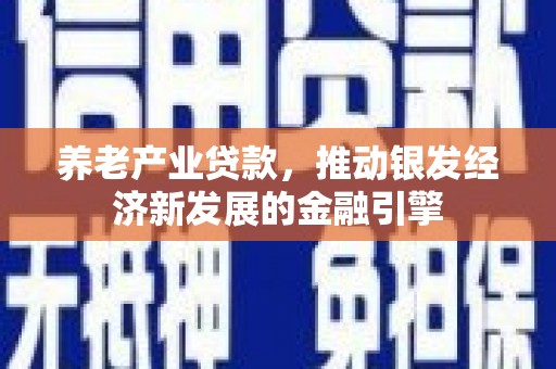 南开养老产业贷款，推动银发经济新发展的金融引擎