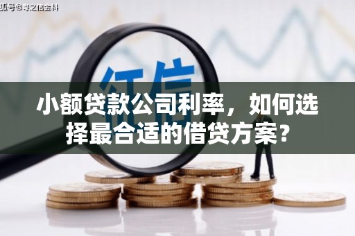 南开小额贷款公司利率，如何选择最合适的借贷方案？