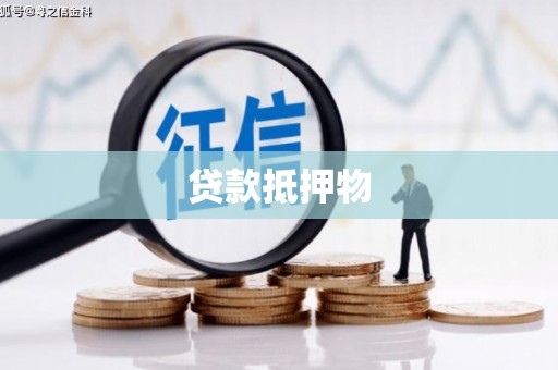 南开贷款抵押物