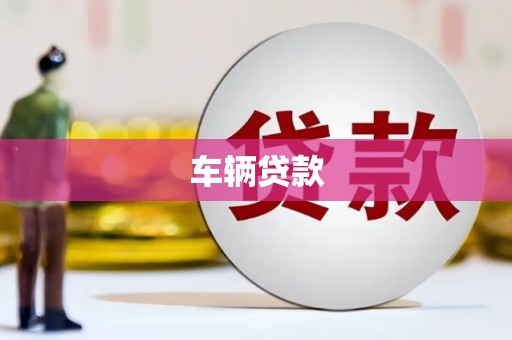 南开车辆贷款