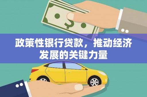 南开政策性银行贷款，推动经济发展的关键力量
