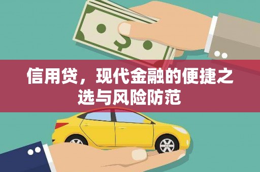 南开信用贷，现代金融的便捷之选与风险防范