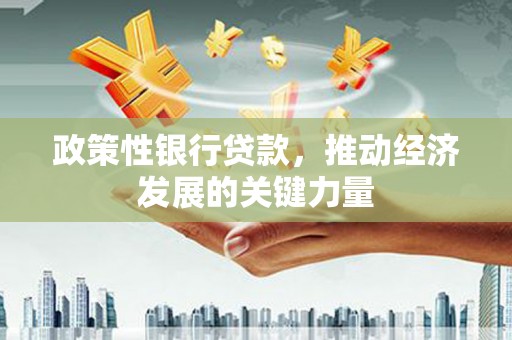 南开政策性银行贷款，推动经济发展的关键力量