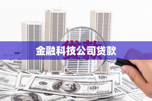 南开金融科技公司贷款