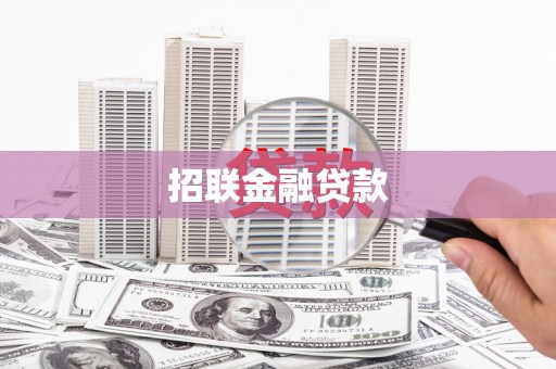 南开招联金融贷款