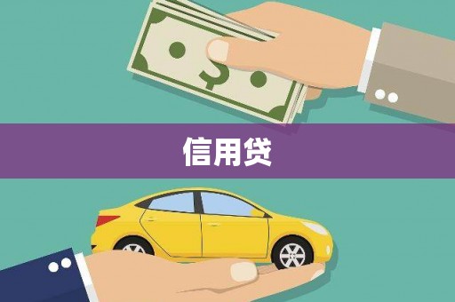 南开信用贷
