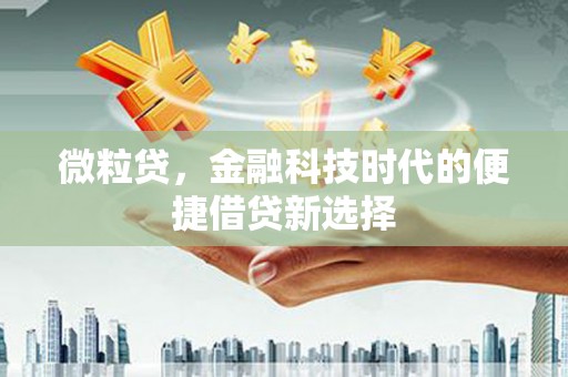 南开微粒贷，金融科技时代的便捷借贷新选择