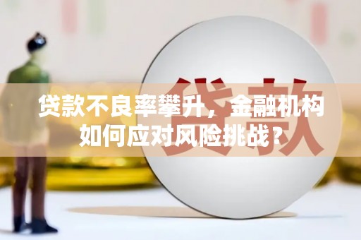 南开贷款不良率攀升，金融机构如何应对风险挑战？