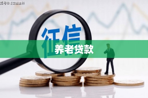 南开养老贷款