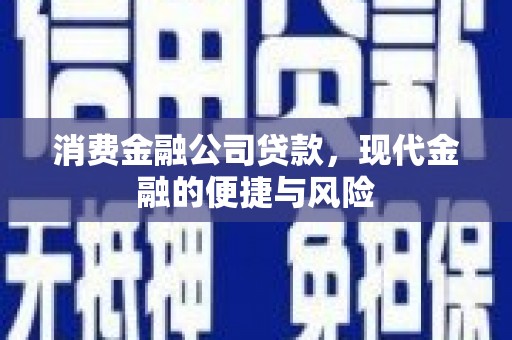 南开消费金融公司贷款，现代金融的便捷与风险
