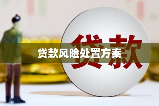南开贷款风险处置方案