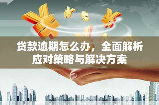 南开贷款逾期怎么办，全面解析应对策略与解决方案
