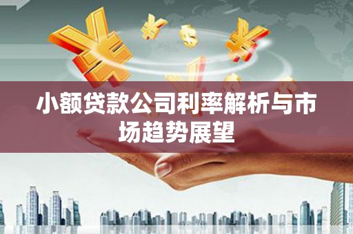 南开小额贷款公司利率解析与市场趋势展望