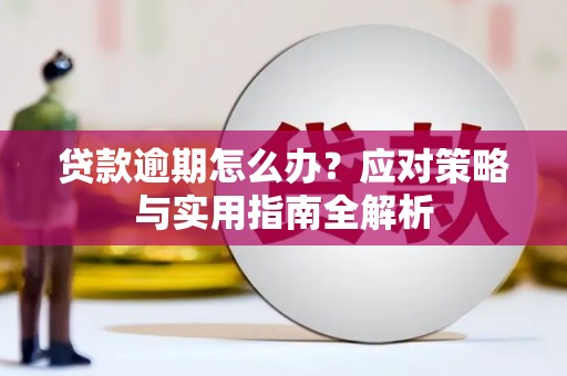 南开贷款逾期怎么办？应对策略与实用指南全解析