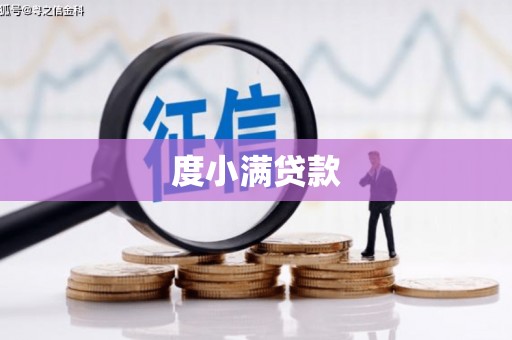 南开度小满贷款