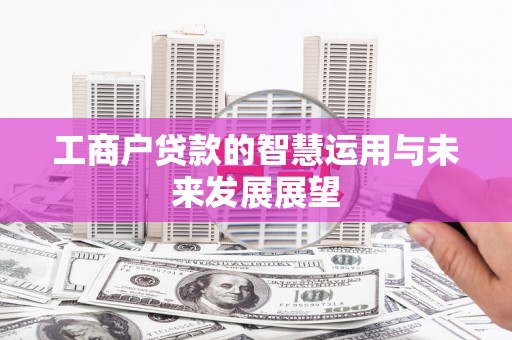 南开工商户贷款的智慧运用与未来发展展望