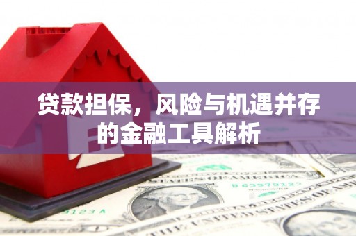 南开贷款担保，风险与机遇并存的金融工具解析
