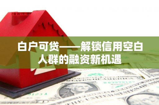 南开白户可贷——解锁信用空白人群的融资新机遇