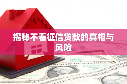 南开揭秘不看征信贷款的真相与风险