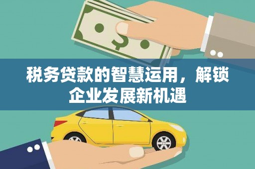 南开税务贷款的智慧运用，解锁企业发展新机遇
