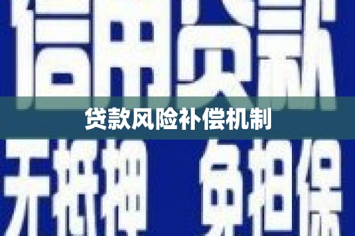 南开贷款风险补偿机制