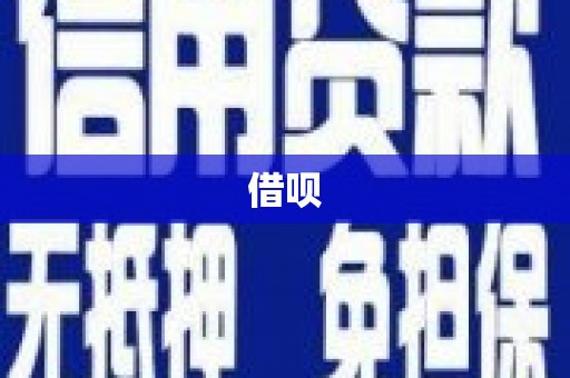 南开借呗