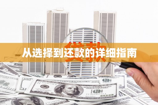 南开从选择到还款的详细指南