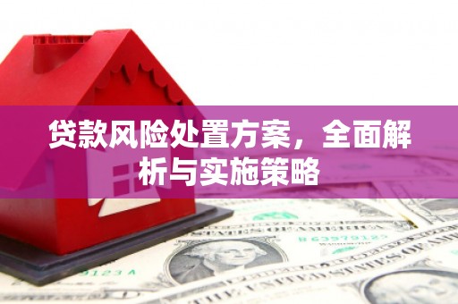 南开贷款风险处置方案，全面解析与实施策略