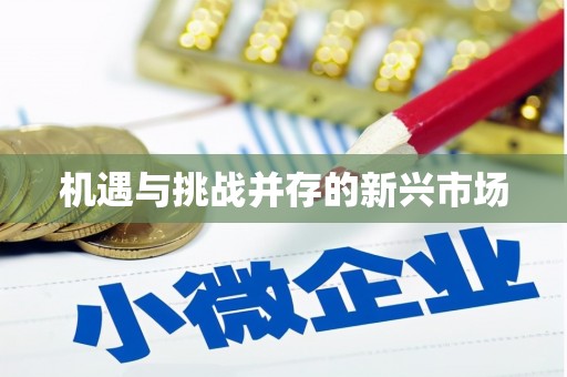 南开机遇与挑战并存的新兴市场