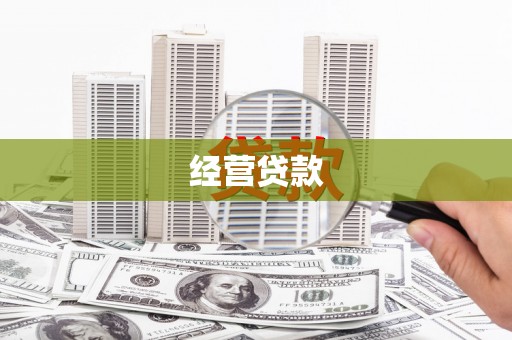 南开经营贷款