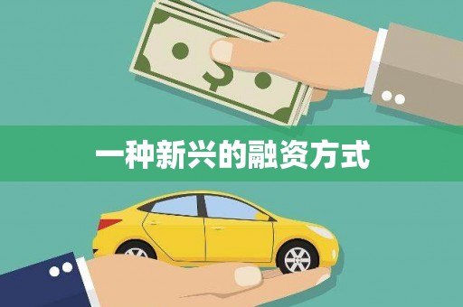 南开一种新兴的融资方式