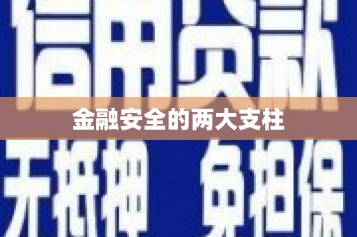 南开金融安全的两大支柱